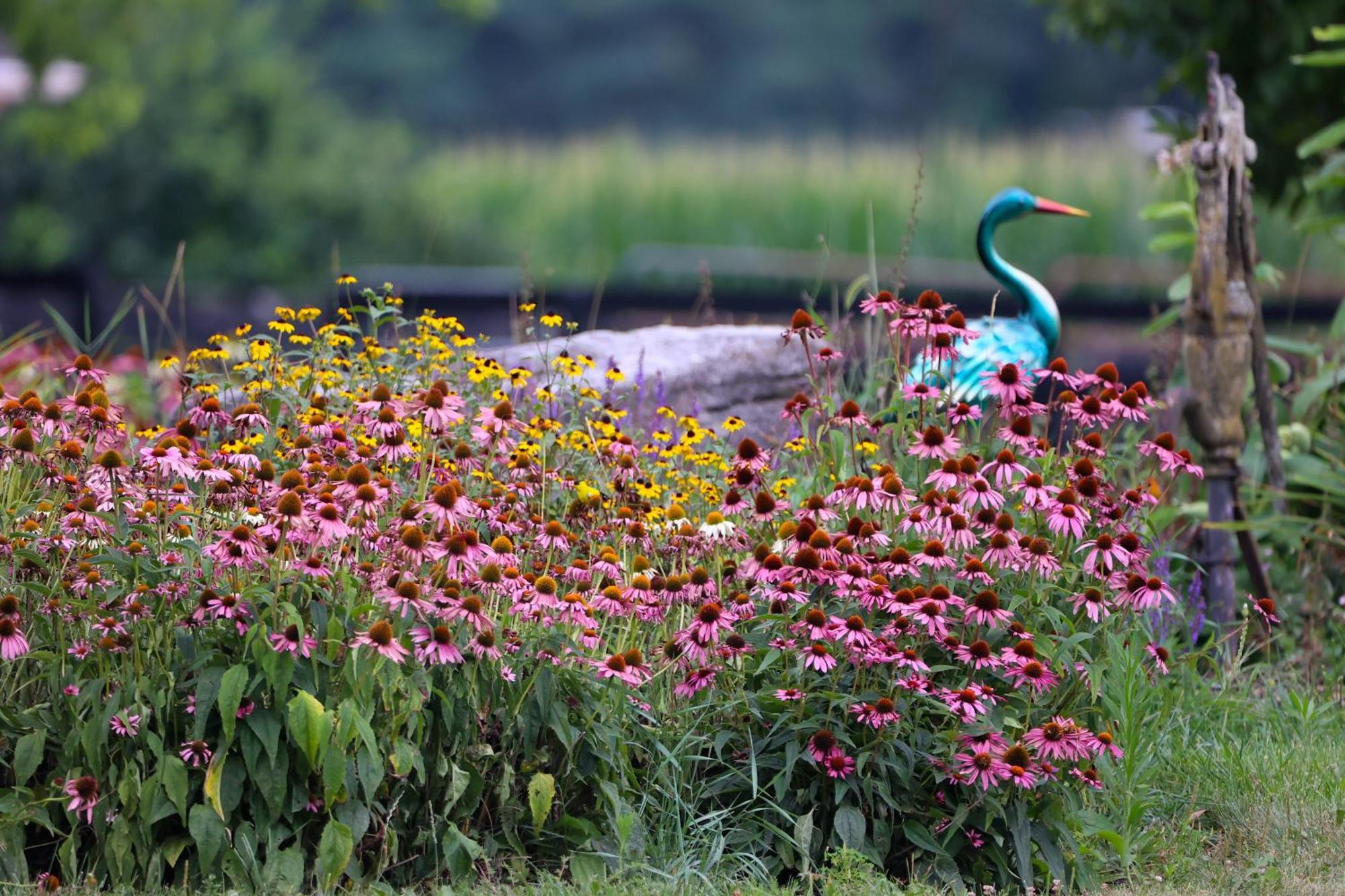 Pheasant Field Bed And Breakfast Carlisle Dış mekan fotoğraf
